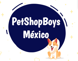 Pet Shop Boys Mexico