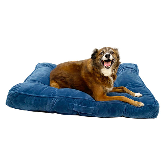 Kenwood & Co Cama Tipo Lounger de Terciopelo con Memory Foam Color Azul para Perro, Grande