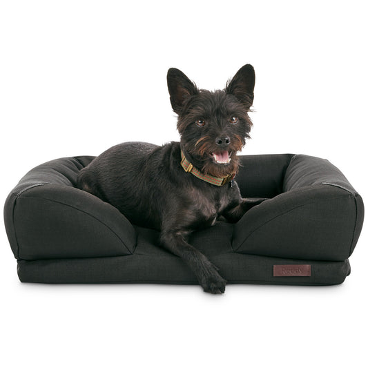 Reddy Cama Resistente Tipo Sillón Color Negro para Perro, Chico