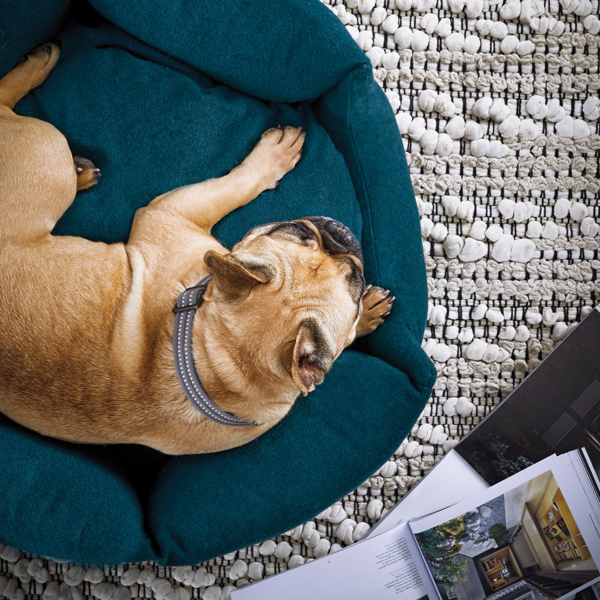 Reddy Cama Hexagonal Elite Ortopédica Color Azul para Perro, Chico