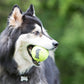 Kong Paquete con Tres Pelotas SqueakAir para Perro